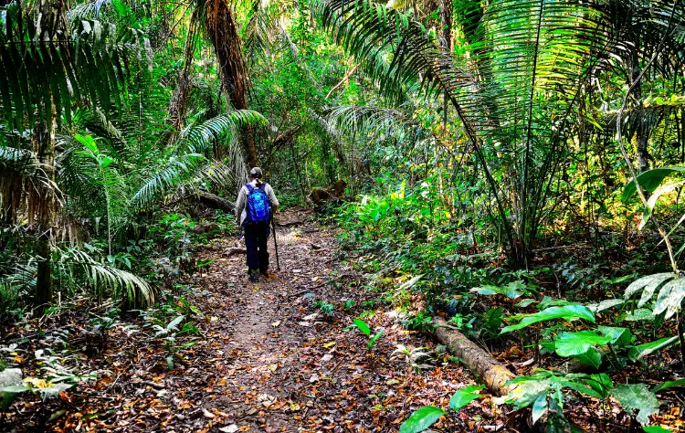 Cultural Encounters Along the River