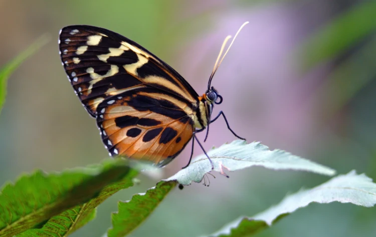 Encounters That Stay With You