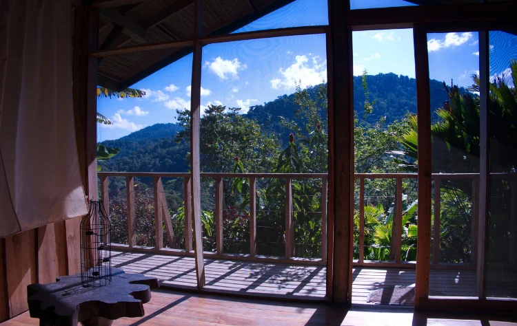 Life Onboard Elegance in the Wild