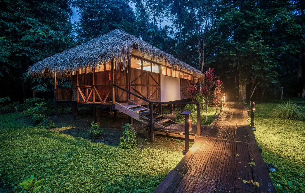 Luxury Amazon Lodges in Ecuador A Journey into the Wild with Comfort and Care