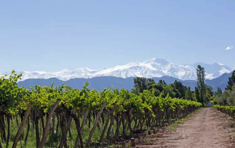 Mendoza Wine Country Refined