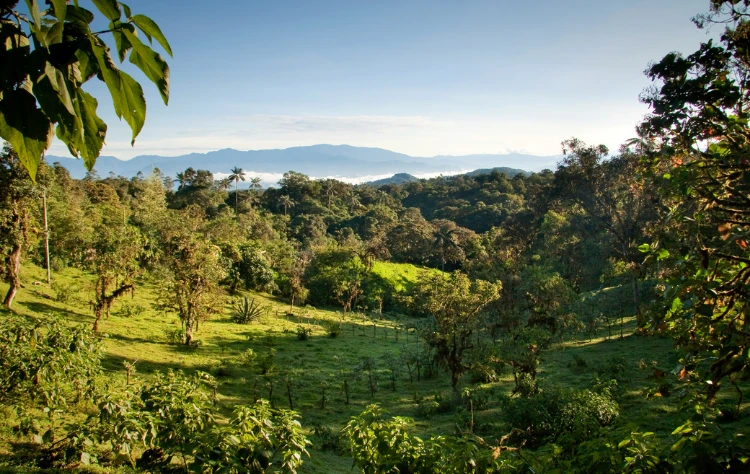 Mindo and the Northwest Highlands