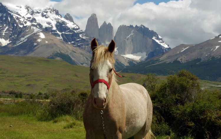 Private Exploration with Expert Guides