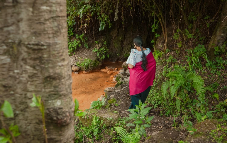 Supporting Conservation and Local Communities