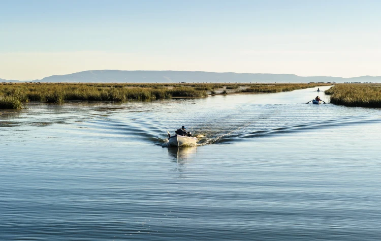 Sustainable Encounters and Local Connections