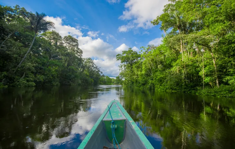 The Amazon, Redefined_ Where Luxury Meets Nature