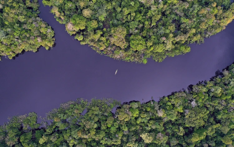 The Amazon River and Its Enchanted Tributaries