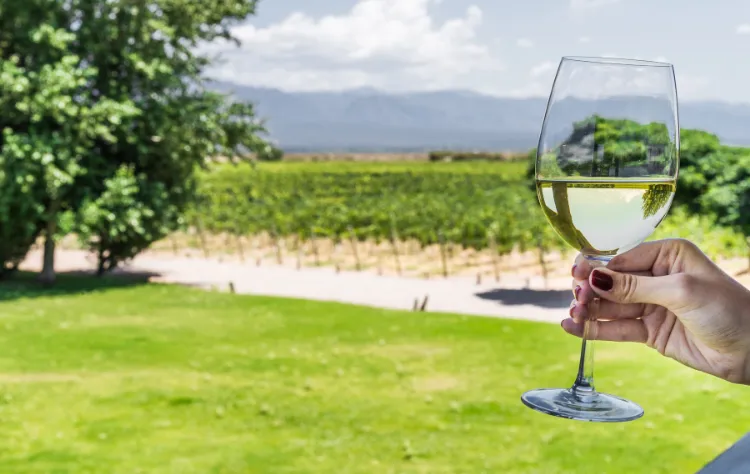 The Northwest_ Ancient Flavors, Modern Soul