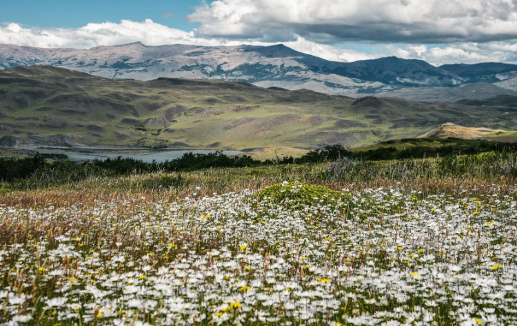 When to Visit Torres del Paine