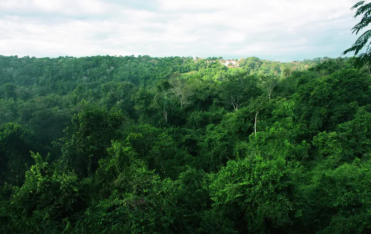 When to Visit the Ecuadorian Amazon
