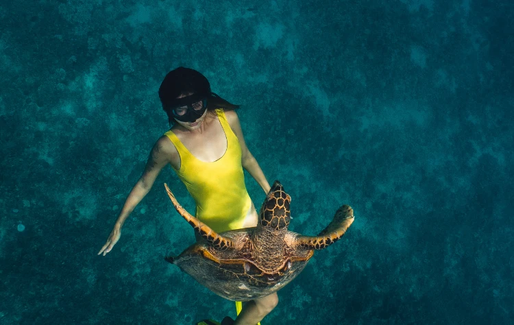 A Day Aboard a Private Galapagos Cruise