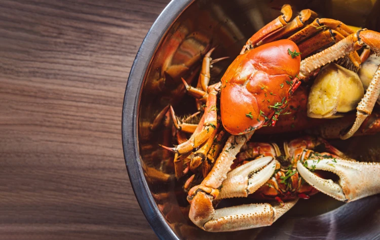 A Gourmet Introduction to Ecuadorian Cuisine