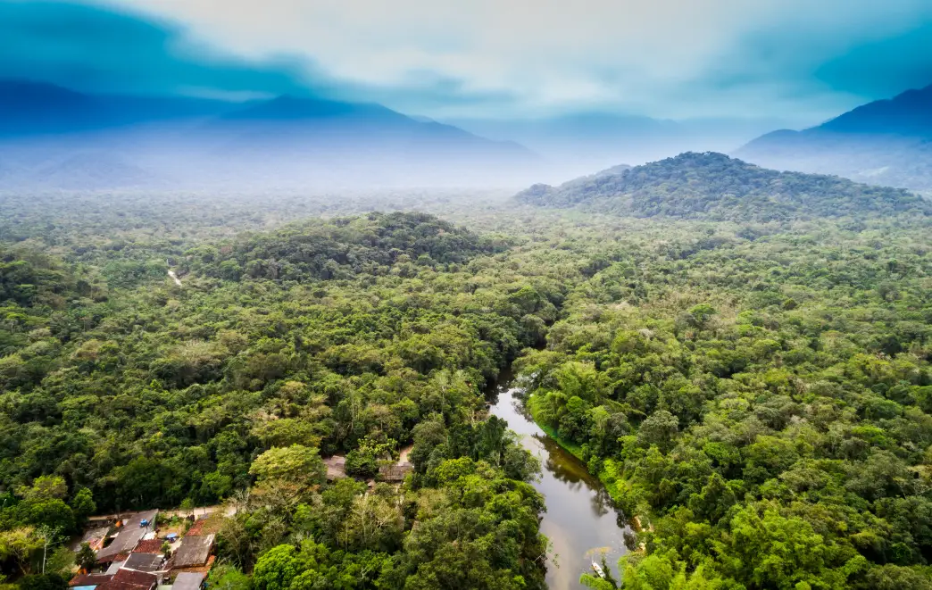 Amazon Cultural Immersion A Deeper Journey into the Heart of the Rainforest