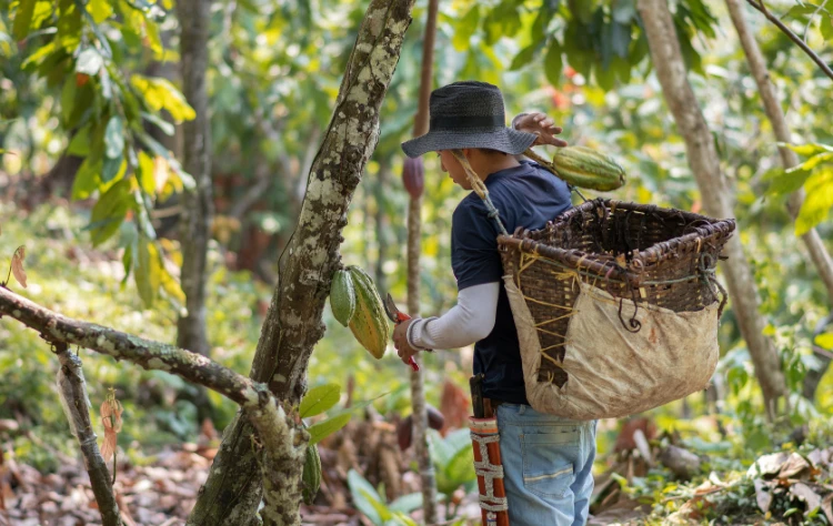 Community-Based Experiences with Purpose