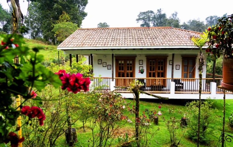 Eco-Luxury Lodges and Responsible Comfort