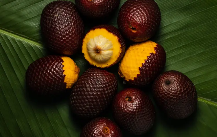 Highlights of a Cultural Immersion Experience in the Amazon (2)