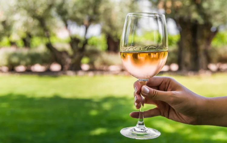 Mendoza_ Sip, Savor, and Slow Down