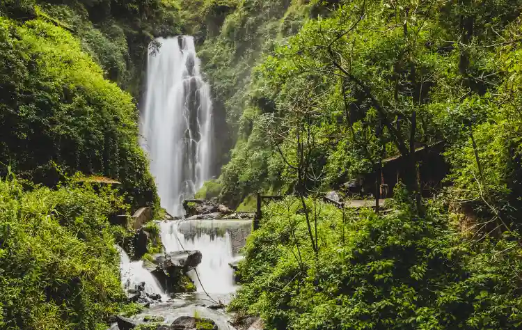 Nature and Sacred Landscapes