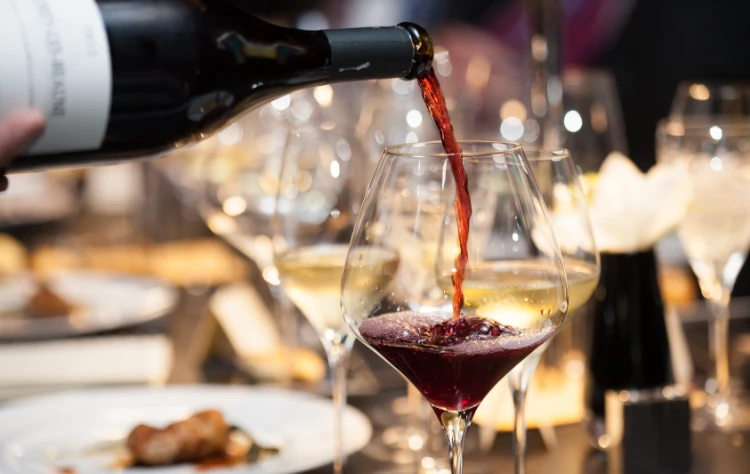 Savoring Mendoza Culinary Pairings and Vineyard Dining