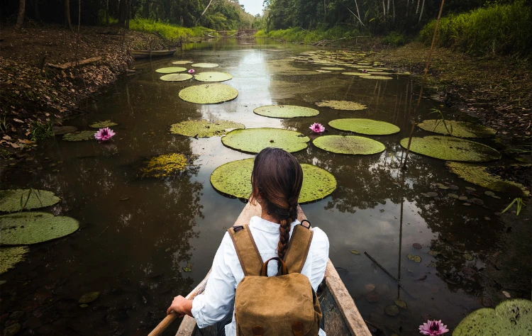 The Amazon Remote and Immersive Wilderness