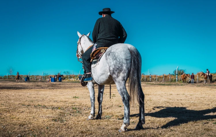 The Gaucho Spirit A Living Tradition
