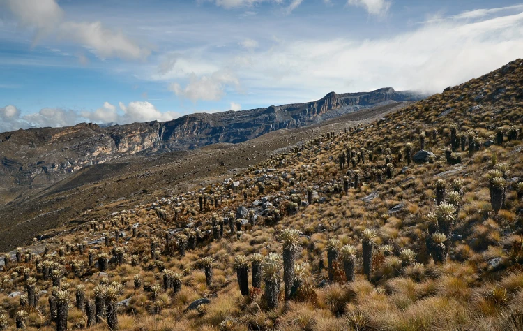 The Unique Appeal of the Sierra Nevada