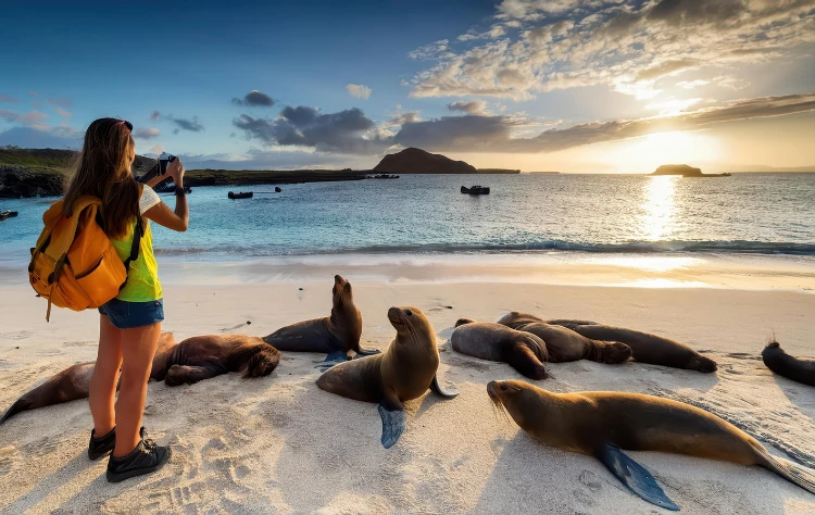 What Are Galapagos Private Cruises