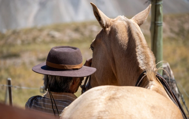 What to Expect from a Gaucho Experience with Kuoda