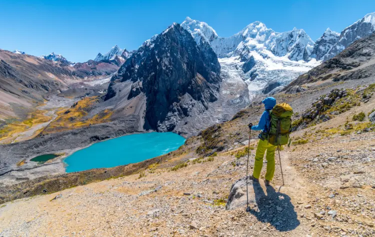 Where Wilderness Meets Elegance