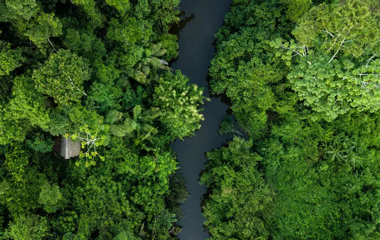 A Photographer’s Dream in the Heart of the Amazon