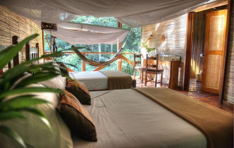 Accommodations that Feel Like Home in the Jungle