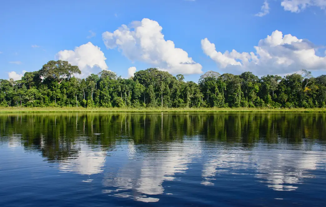 Amazon Photography Tour Capture the Untamed Beauty of Peru's Rainforest