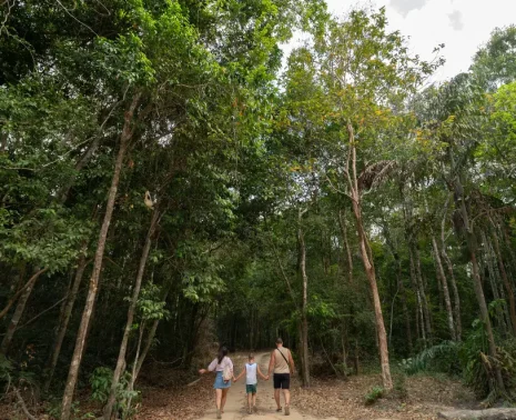 Amazon for Families A Journey