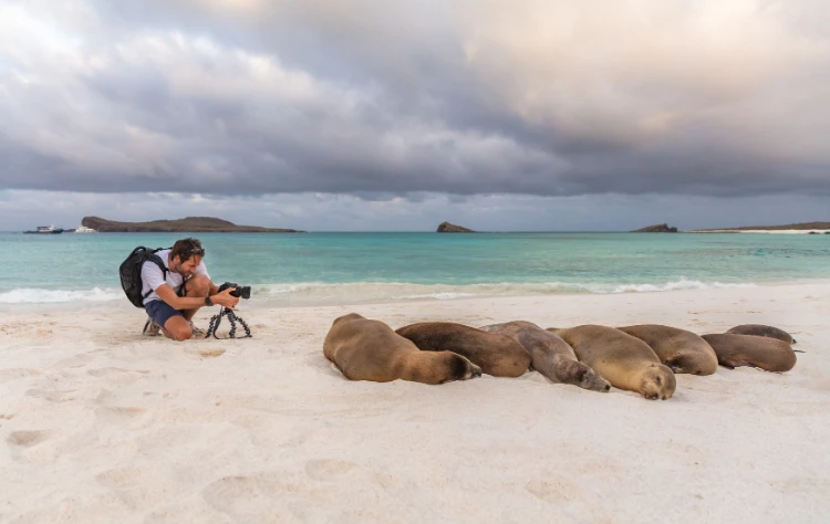 Combine Diving with Island Discovery