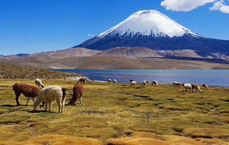 Combining Nature Culture and Comfort