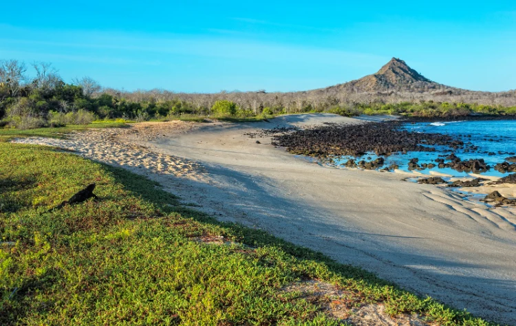 Dive Liveaboards and Luxury Yacht Options