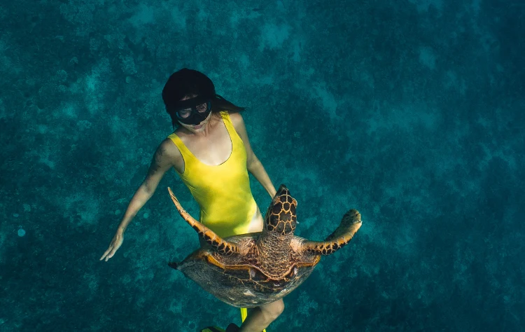 Dive Sites for Every Level of Experience