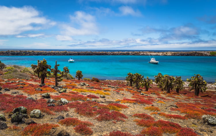 First Stop_ The Galapagos Islands