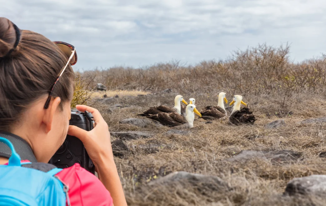 Galapagos Islands Family Travel A Journey of Wonder and Discovery