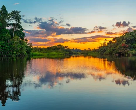 Peruvian vs Ecuadorian Amazon