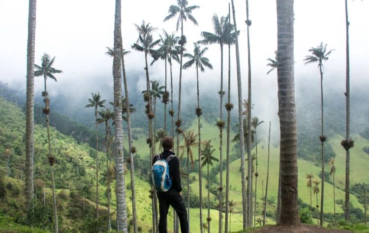 Private Experiences That Go Beyond the Expected