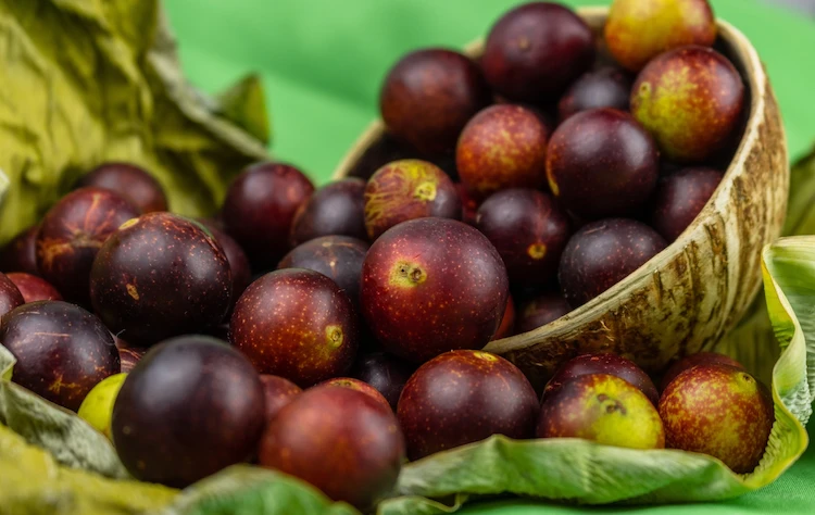 The Amazon Exotic Ingredients and Indigenous Knowledge