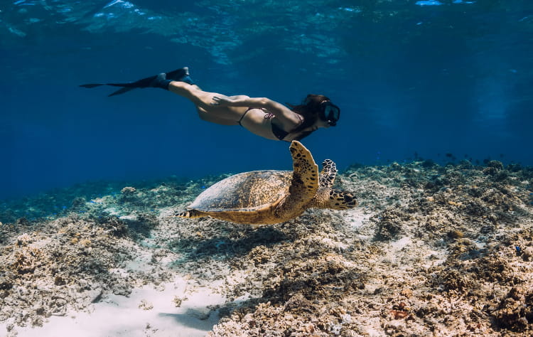 The Galapagos Islands_ A Living Laboratory in Style