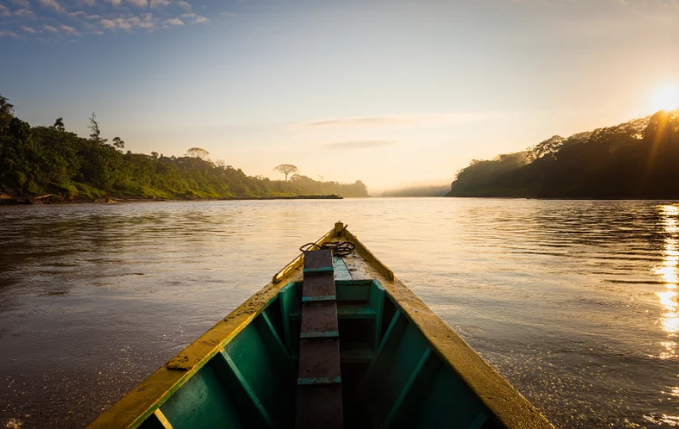 The Golden Hours of the Amazon