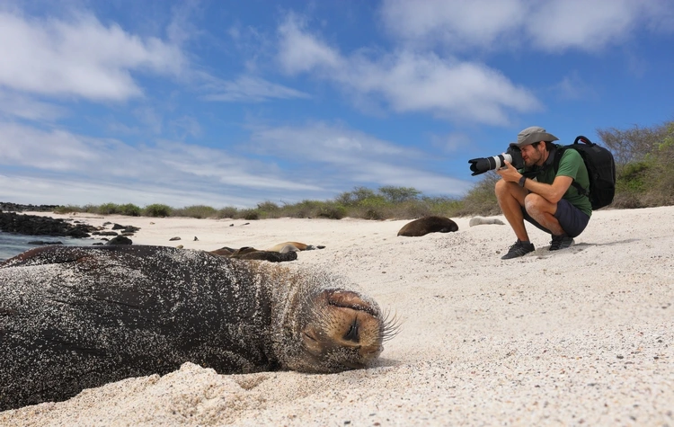 When to Go The Best Seasons for Cruising in Galapagos