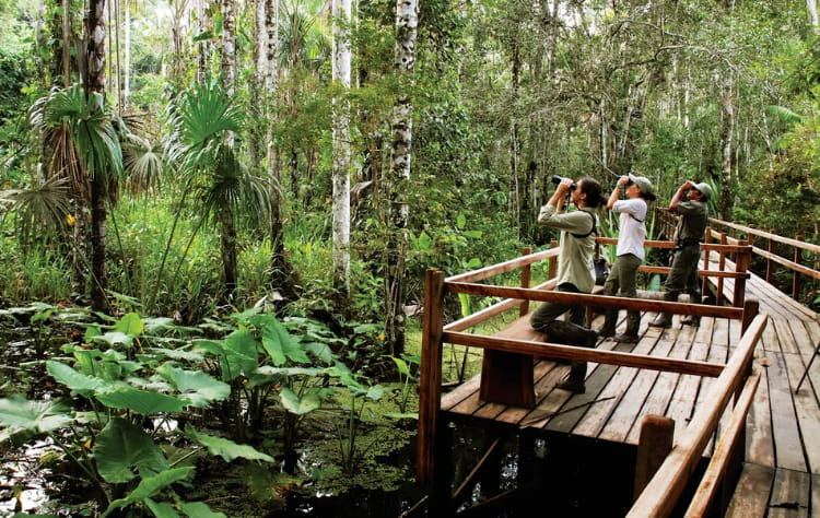 Which Experience Is Right for You_ Source Inkaterra.com