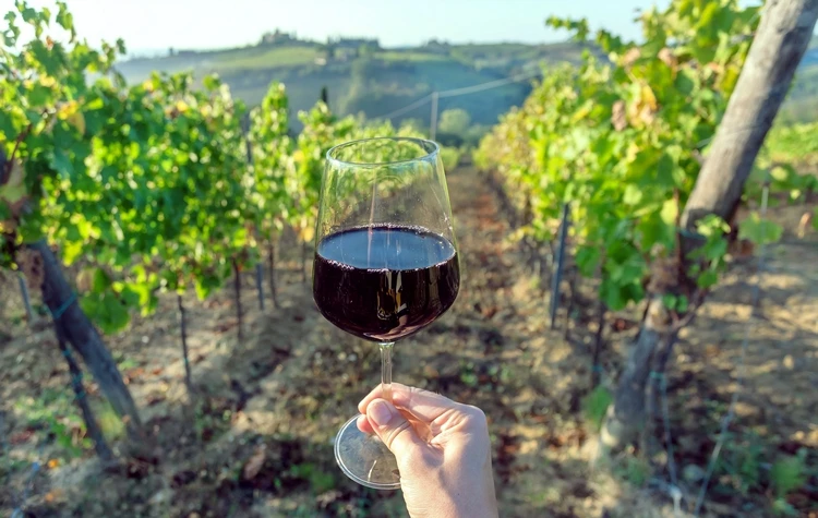 Why Choose an Argentina Wine Journey