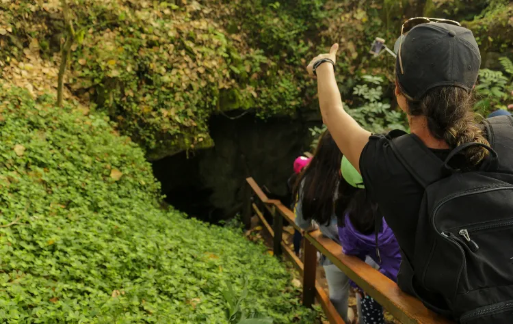 Activities for Every Generation