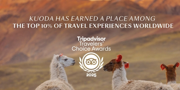 Banner Movile_TripAdvisor