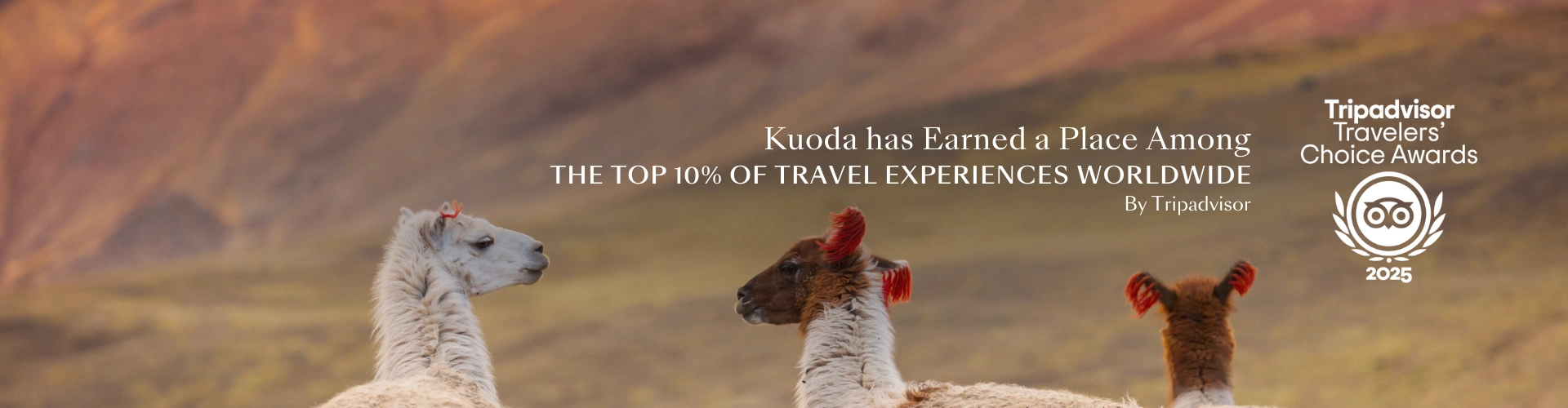 TripAdvisor Banner